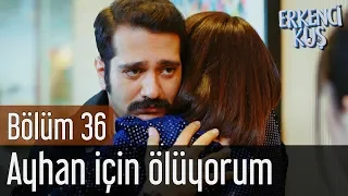 Erkenci Kuş 36. Bölüm - Ayhan İçin Ölüyorum