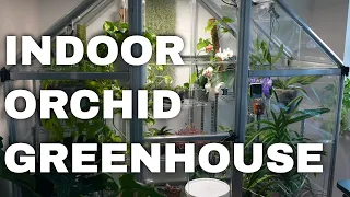 My Orchid Indoor Greenhouse / Enclosure DIY Setup: Light, Ventilation, Humidity, Watering