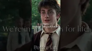 Y/n is here to lead the wizards and witches! - Harry Potter Edit - #harrypotter #music #shorts