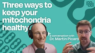 Mitochondria - The Key To Disease and Mental Health with Dr. Martin Picard