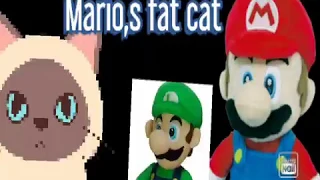 Mario,s fat cat