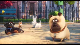 The Secret Life of Pets - Official Trailer #2