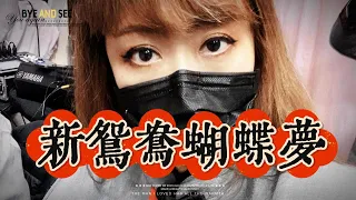 《新鴛鴦蝴蝶夢》二胡 cover by 夏楠 erhu