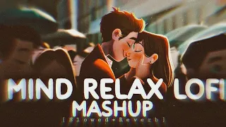 Mind Relax Lofi Mashup song [Slowed Reverb] New lofi Mashup 2024 | Hindi Lofi Mashup song|| Egotul