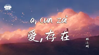 【動態歌詞/Pinyin Lyrics Video】愛，存在 - 林小柯『我要的愛 只在妳身上存在』Chinese tik tok song 【ai cun zai】