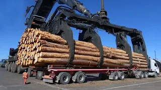 Dangerous Biggest Idiots Machines Is So Stump Pulling Removal | Big Logging Wood Truck Driving Skill