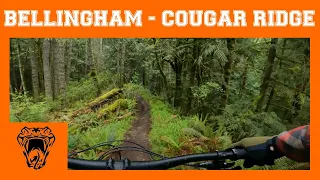 Bellingham WA - Cougar Ridge