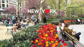 [4K]🇺🇸 The annual Car-Free Earth Day, NYC🚶‍♀️ 🛹 🚲Broadway, Union Sq. Madison Sq Park /Apr. 2024