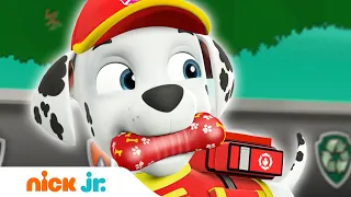 Щенячий патруль | Щенки лают с динозаврами | Nick Jr. Россия