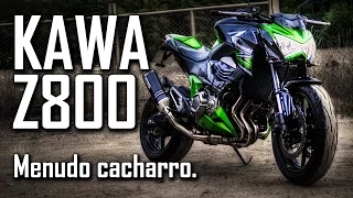 PRUEBA a FONDO  Kawasaki Z800