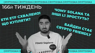 Криптовалютний портфель для новачків "50 по 50" | 166 Тиждень