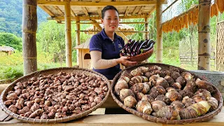 Harvesting Taro from the garden Go to market to sell - Animal care - Trieu Mai Huong