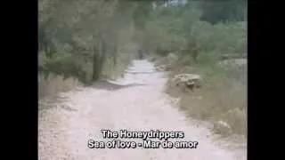 The Honeydrippers - Sea of Love - Subtítulos Español