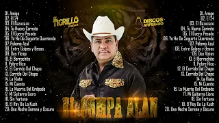 Mejores corridos chingones T.i.g.r.i.l.l.o P.a.l.m.a mix - Corridos 2022