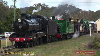 Australian steam locomotives 3526, 2705, 1709, 1210 & 3642 - Thirlmere to Menagle - September 2005