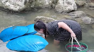 Treasure Battle: The girl opens the mutated giant clam to obtain pearls