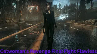 This is how lore accurate Arkham Catwoman actually fights in Batman Arkham Knight