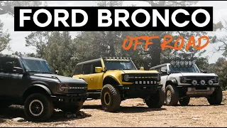 FORD BRONCO OFF ROAD | Bronco ProRunner + Bronco Raptor + Bronco Sasquatch Big Bear, CA