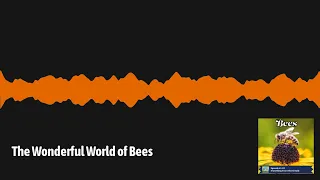 The Wonderful World of Bees | Everything Everywhere Daily
