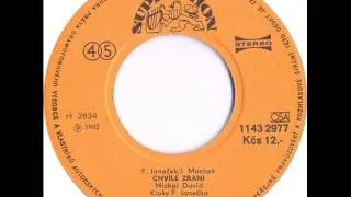 Michal David - Chvíle zrání [1985 Vinyl Records 45rpm]