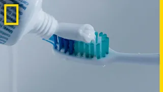 How Your Toothbrush Became a Part of the Plastic Crisis | National Geographic