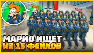 НАЙДЕТ ЛИ МЕНЯ МАРИО СРЕДИ 15 ФЕЙКОВ В КСГО?!? // ПРОВЕРКА НА ДРУЖБУ В CSGO