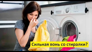 Как удалить плесень и запах в стиральной машине? Краткая инструкция.