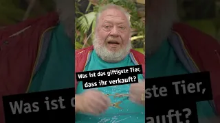 Was ist das giftigste Tier, das ihr verkauft? | Zoo Zajac | #shorts