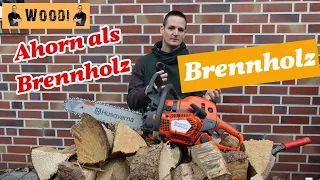 Ahorn als Brennholz / Kaminholz - Brennwert -  Vorteile im Kaminofen - Woodi