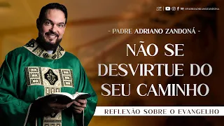 Ouça com humildade e atenção | Mc 12,1-12 | Padre Adriano Zandoná (03/06/24)