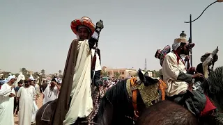 ركب الابيض سيد الشيخ 2018