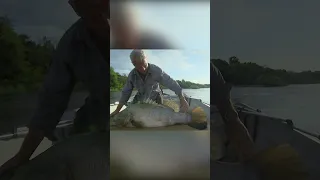 Jeremy Wade's jaw-dropping 70lb monster catch | River Monsters | Animal Planet