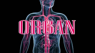 ORGAN OFFICIAL TEASER 2018 / AKHIL/KIRANSREE/GOPAKIRAN/GANESH CHENNAI/4JMUISCS