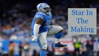 Alim McNeill: Potential Star In Detroit