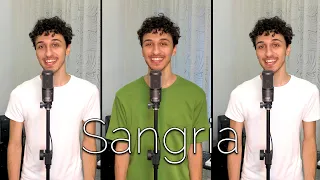 Sangria - Emma Muscat ft. Astol (Cover by Vincent Belfiore)