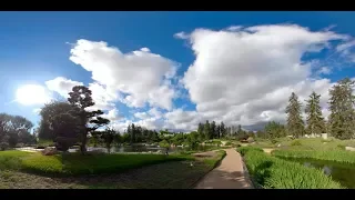 Japanese Nature VR Garden Tour