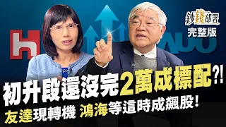 初升段還沒漲完 20,000點將成標配?! 友達現轉機能V轉? 鴻海不動如山 這時成飆股!《鈔錢部署》盧燕俐 ft.杜金龍 20240229