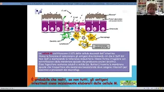 3_Dott.ssa Volterrani_Malt e Galt in Pediatria