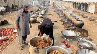 Pakistan's Largest and Luxurious Wedding Food Preparation | Mutton Qorma and Steam for 4000+ People