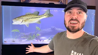 I put BASS in our Family FISH TANK!