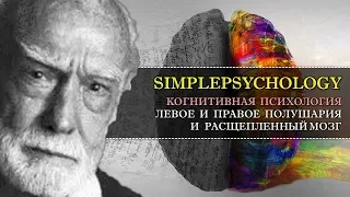 Когнитивная психология #18. Левое и правое полушария и расщепленный мозг.