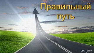 Где брать силы, чтобы не падать  А  Н  Оскаленко  МСЦ ЕХБ ПРОПОВЕДЬ 2020