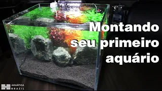 Montando seu primeiro aquário (Iniciante) [PARTE 1] - Montagem, condicionamento da água e introdução