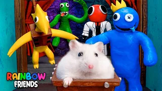 Hamsters Get Lost In The World's Largest Rainbow Friends Maze 🐹 Hamster Maze in real life