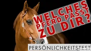 ❤️️ Welches Pferd passt zu dir? Persönlichkeitstest! ❤️️