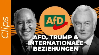 Kubicki über die AfD, Trump und das politische Verhältnis zu USA, Russland, China