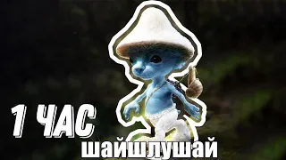 Эрнест Меркель -ШАЙЛУШАЙ 1 ЧАС