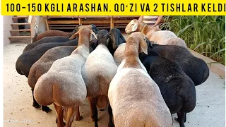 150-100 KGLI ARASHAN VA XISORLAR KELDI