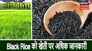 Annadata | Black Rice को खेती पर अधिक जानकारी | 17 Dec 2018