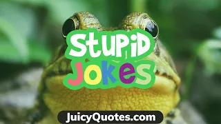Silly Stupid Jokes and Puns - Get Ready To Laugh Out Loud